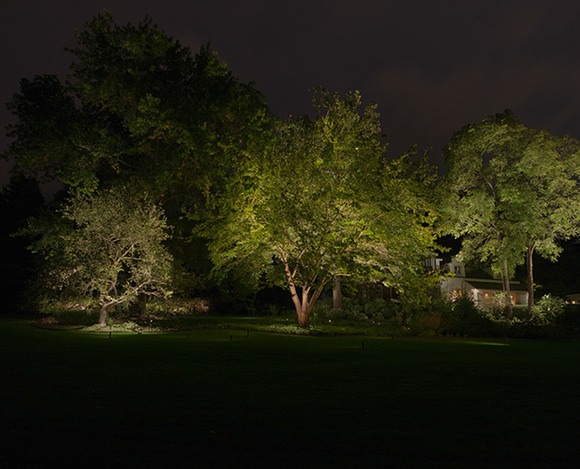Lawn and Tree Lighting