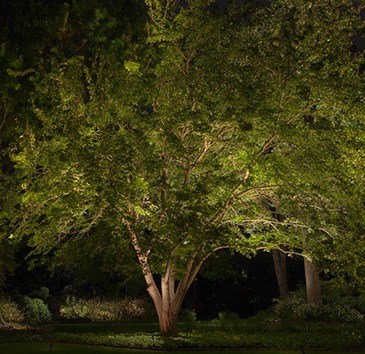 get-attachment-1.aspx