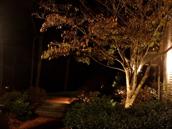 website - after heff tree