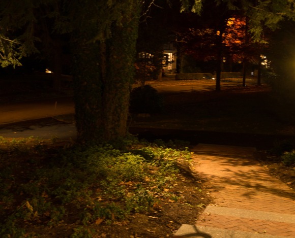 Paths and Walkway Lighting